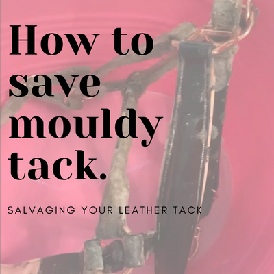 How Do You Save Mouldy Tack?
