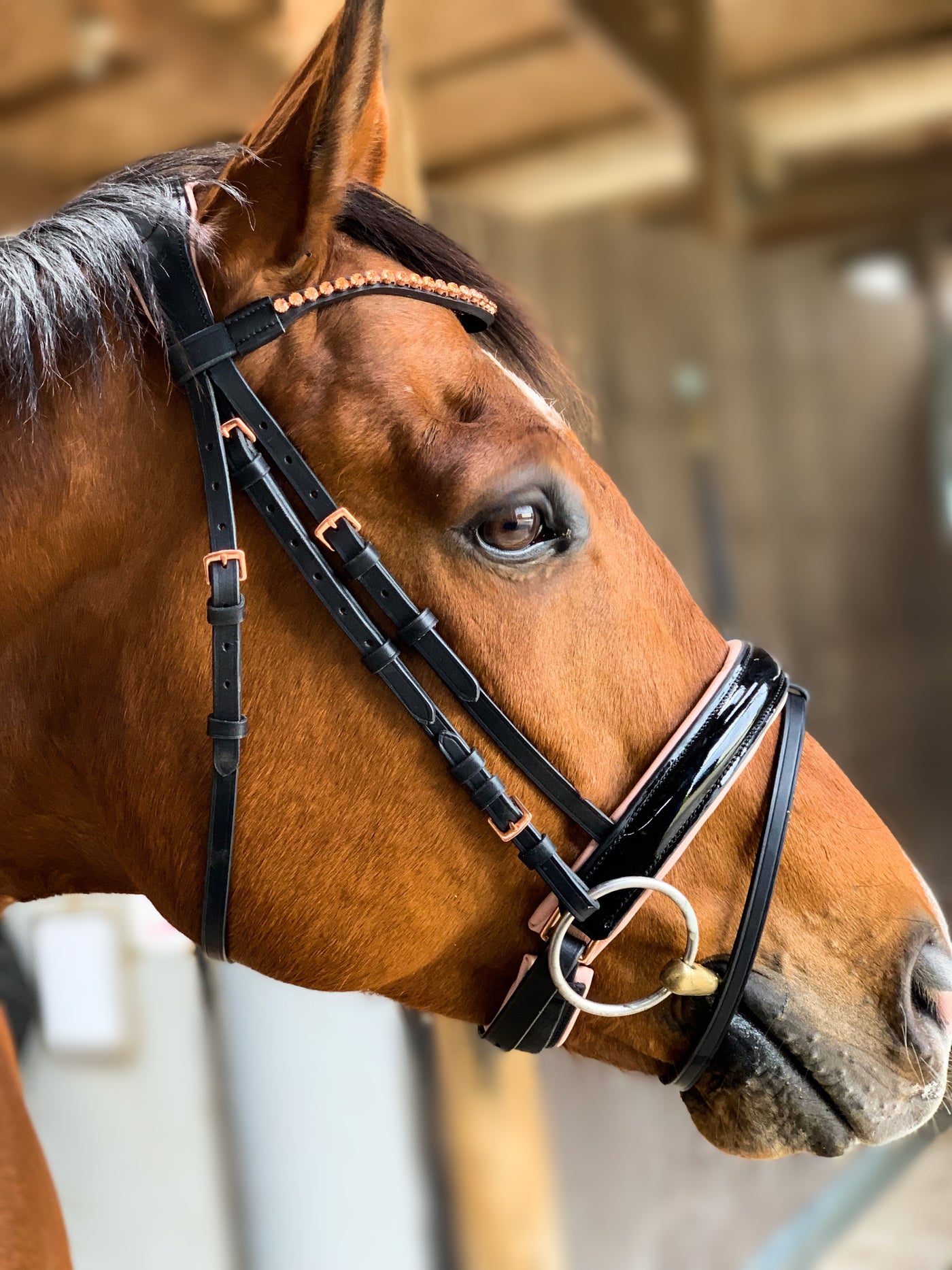 Rebel Equestrian Bridle Collection