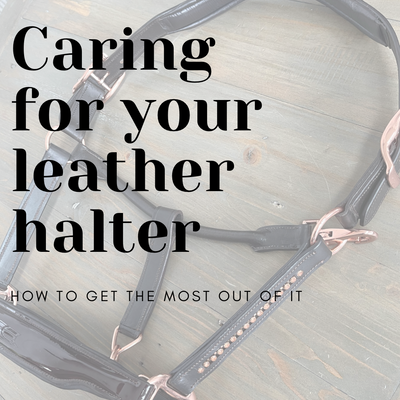 How to care for your leather halter