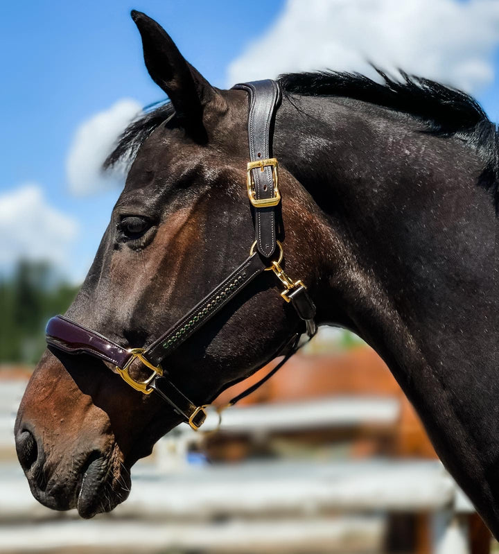 thumbnail image 2 of HORZE Fremont Soft Synthetic Leather Online Shopping Hardwa Halter Horse Brass 2 of 10